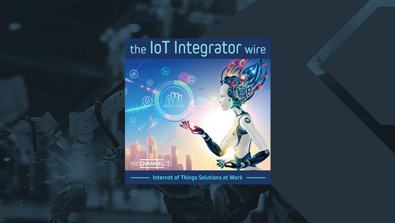 Erin Barrett Discusses “Smart Vision” with the IoT Integrator Wire